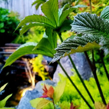 Lake Stevens backyard