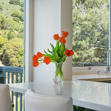 Mid-Century Home