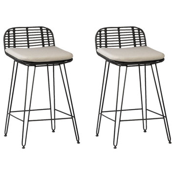 Bani Counterstool (Set of 2)