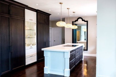 Mid-sized transitional single-wall dark wood floor and brown floor enclosed kitchen photo with a farmhouse sink, shaker cabinets, white cabinets, white backsplash, stainless steel appliances, an island, quartz countertops and white countertops