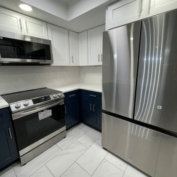 Full Condo Reconstruction - Central