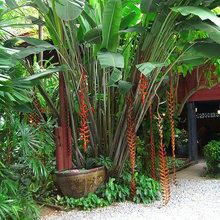 área externa