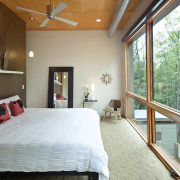 Contemporary Bedroom