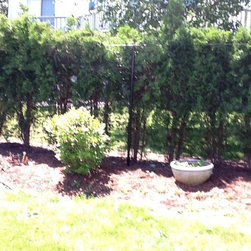 Deer Fencing - Products