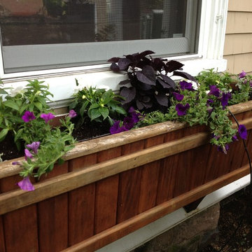 Seasonal Container Plantings & Changeovers