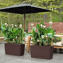 Cararo Premium 75  Lechuza - Indoor Pots And Planters
