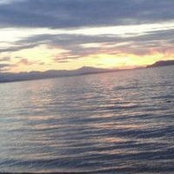 Krina Gupta's photo
