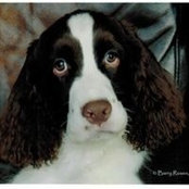 Susan Budai's photo