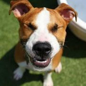 Victoria Schless's photo
