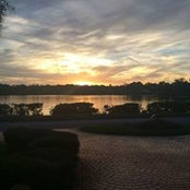 Dave Malone's photo