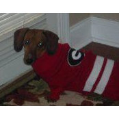 Ursula Akridge's photo