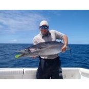 Ryan York's photo