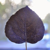 Lee Lawlor's photo