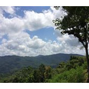 Olivia Costa's photo
