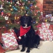 Sarah Grosch Houghtaling's photo