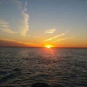 David Little's photo