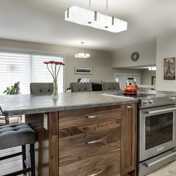 Saskatoon, Renovation - Terra
