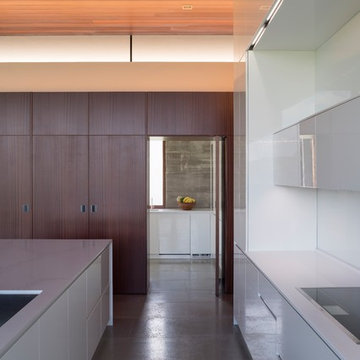 Kitchen and Butler's Pantry