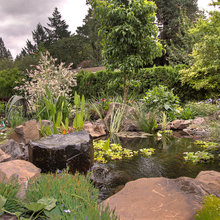 Pond