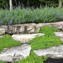 Rowlette exterior and landscaping photos