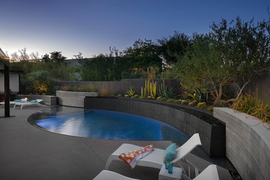 Example of a trendy pool design in Other