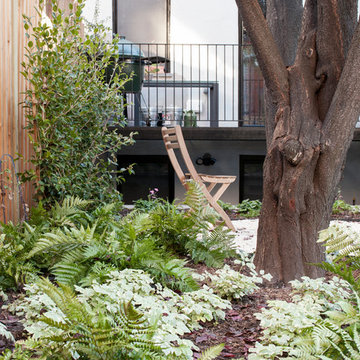 Eco House & Garden