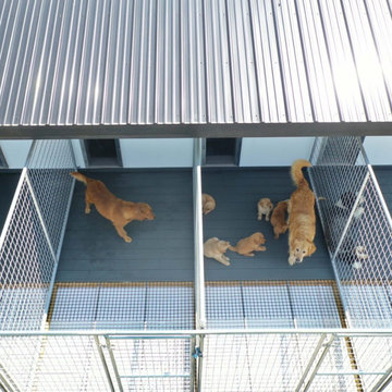 14×26 9-Run Commercial Kennel