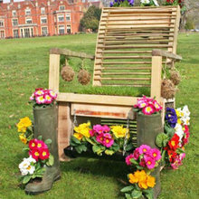 Landscape Ideas