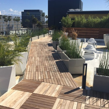Roof decks.