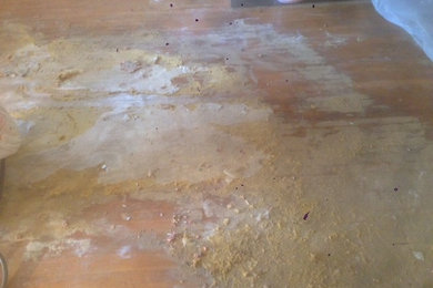 Pee Stained Wood Floor for Sanding & Refinishing