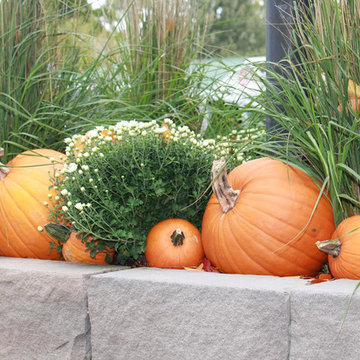 Fall Decorations