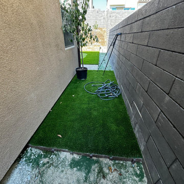 After Picture