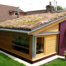 sedum roof
