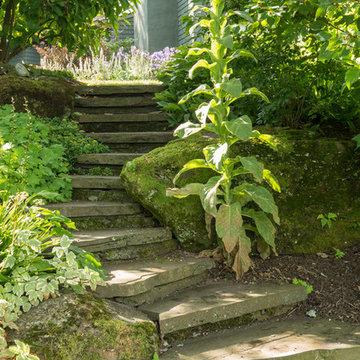 Winding Steps