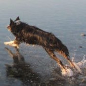 Nicole Robbins's photo