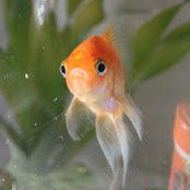Sandra Lee's photo