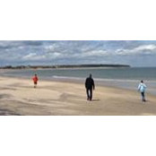 Laura Reid Ryan's photo
