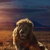 Marcos Santana's photo
