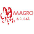 Foto di profilo di Magro & C srl