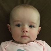 Gary Meyer's photo