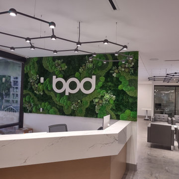 Corporate Moss Walls & Custom Logos | Office Biophilic Design