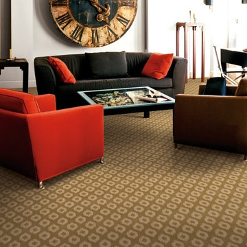 Dabbieri Collection