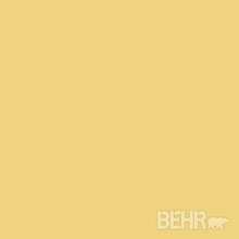 Paint Colors