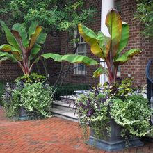 Front Door Planters