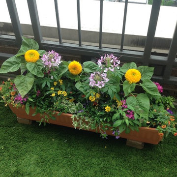 Nolita NYC-Terrace Makeover