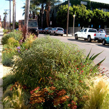 planting beds