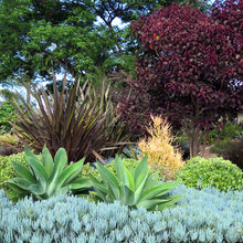 A New Yard