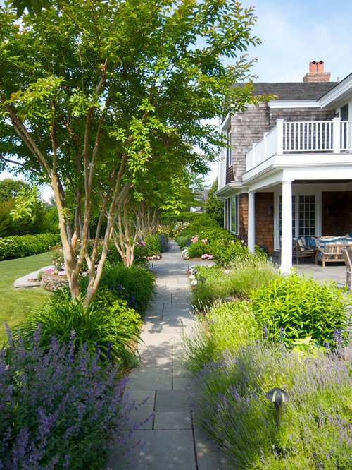 Crepe Myrtle Landscaping | Houzz