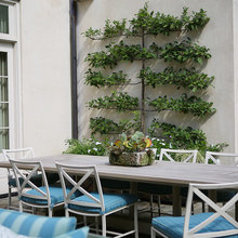 Courtyards and Gardens