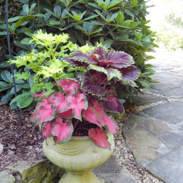 Drip Irrigation and Micro Irrigation Misters and Pots